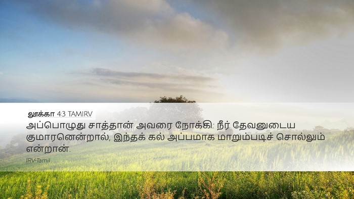 லூக்கா 4:3 TAMIRV Bible Verse Image