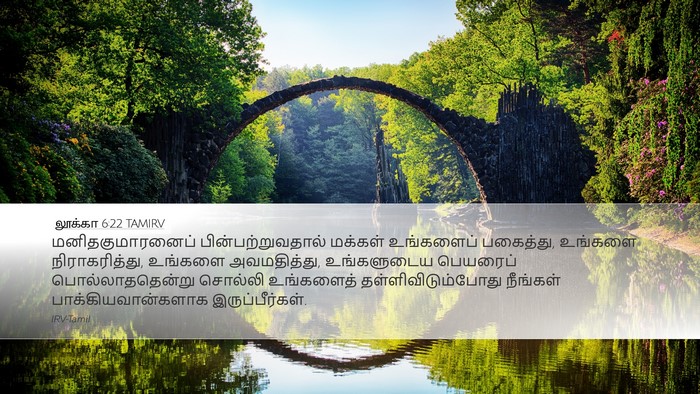 லூக்கா 6:22 TAMIRV Bible Verse Image