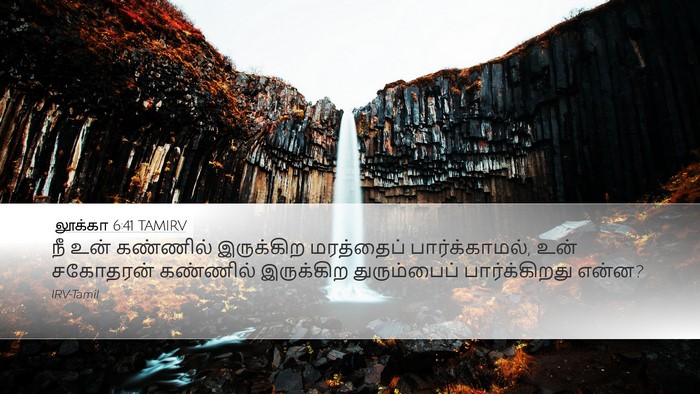 லூக்கா 6:41 TAMIRV Bible Verse Image