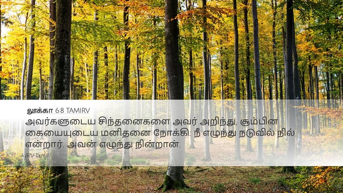 லூக்கா 6:8 TAMIRV Bible Verse Image
