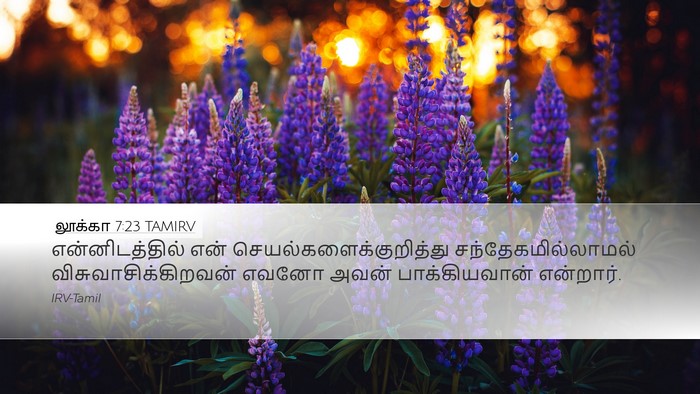 லூக்கா 7:23 TAMIRV Desktop Wallpaper - என்னிடத்தில் என் - Desktop Bible Verse Wallpaper