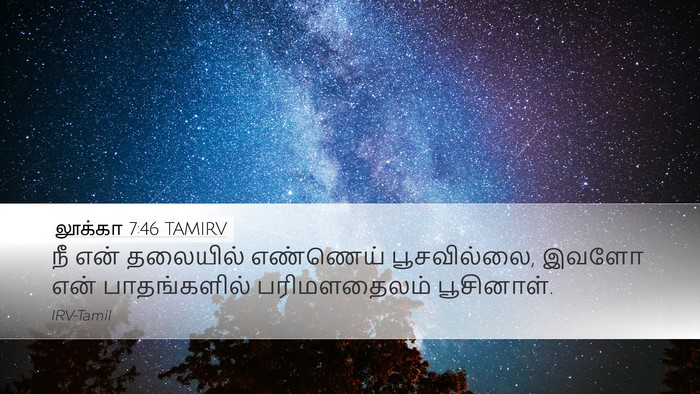லூக்கா 7:46 TAMIRV Bible Verse Image