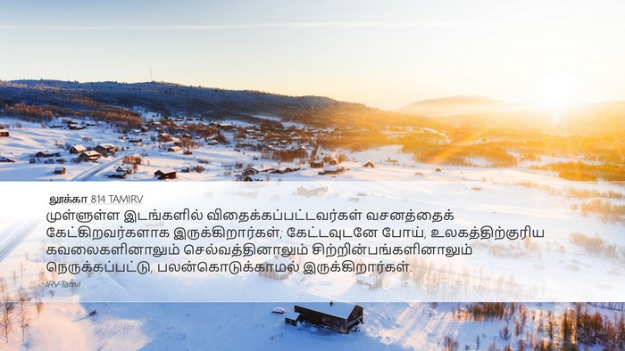 லூக்கா 8:14 TAMIRV Bible Verse Image