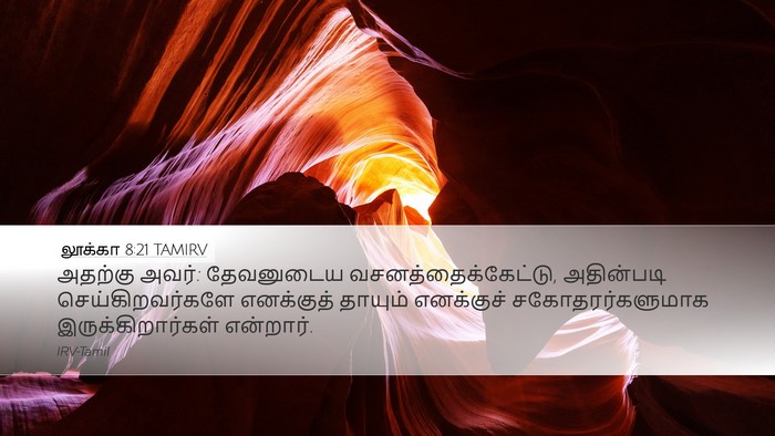 லூக்கா 8:21 TAMIRV Bible Verse Image