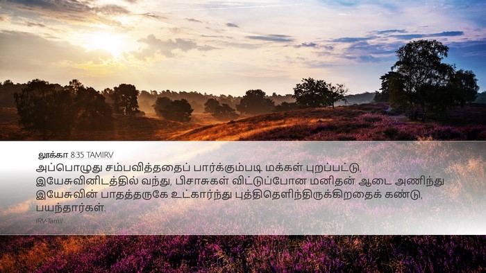 லூக்கா 8:35 TAMIRV Bible Verse Image