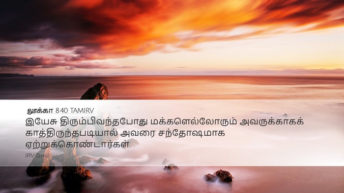 லூக்கா 8:40 TAMIRV Bible Verse Image