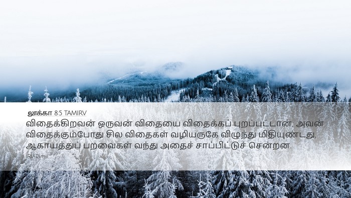 லூக்கா 8:5 TAMIRV Bible Verse Image