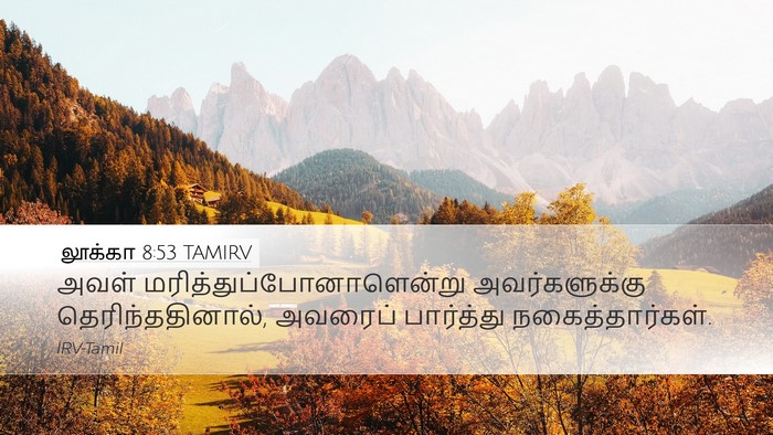 லூக்கா 8:53 TAMIRV Bible Verse Image