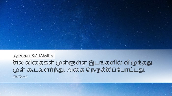 லூக்கா 8:7 TAMIRV Bible Verse Image