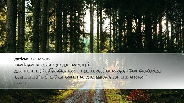 லூக்கா 9:25 TAMIRV Desktop Wallpaper - மனிதன் உலகம் - Desktop Bible Verse Wallpaper