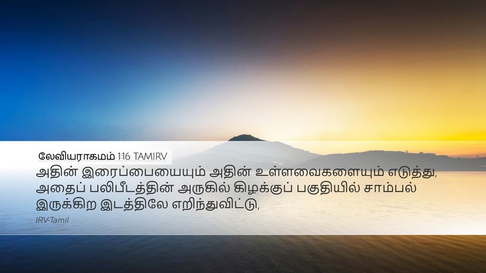 லேவியராகமம் 1:16 TAMIRV Desktop Wallpaper - அதின் - Desktop Bible Verse Wallpaper