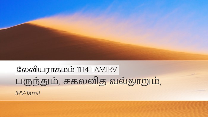 லேவியராகமம் 11:14 TAMIRV Desktop Wallpaper - பருந்தும், சகலவித - Desktop Bible Verse Wallpaper