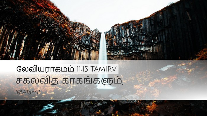 லேவியராகமம் 11:15 TAMIRV Desktop Wallpaper - சகலவித - Desktop Bible Verse Wallpaper