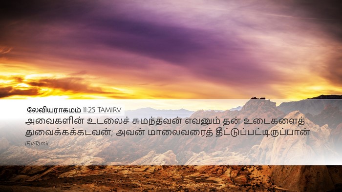 லேவியராகமம் 11:25 TAMIRV Bible Verse Image