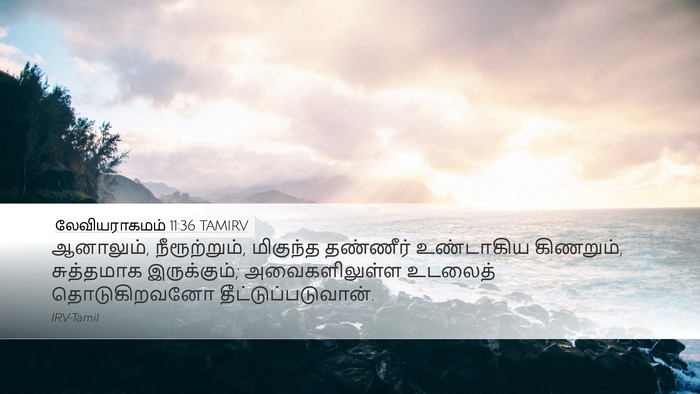 லேவியராகமம் 11:36 TAMIRV Desktop Wallpaper - ஆனாலும், - Desktop Bible Verse Wallpaper
