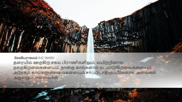 லேவியராகமம் 11:42 TAMIRV Bible Verse Image
