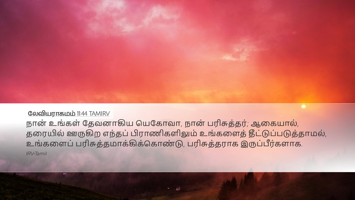 லேவியராகமம் 11:44 TAMIRV Bible Verse Image
