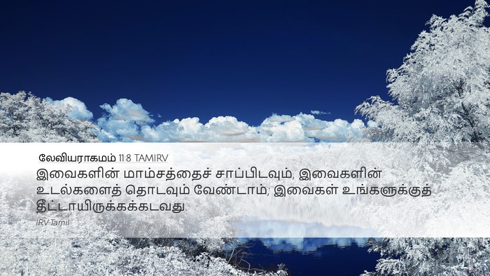 லேவியராகமம் 11:8 TAMIRV Desktop Wallpaper - இவைகளின் - Desktop Bible Verse Wallpaper