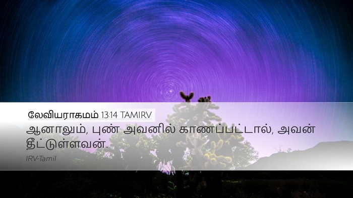 லேவியராகமம் 13:14 TAMIRV Bible Verse Image