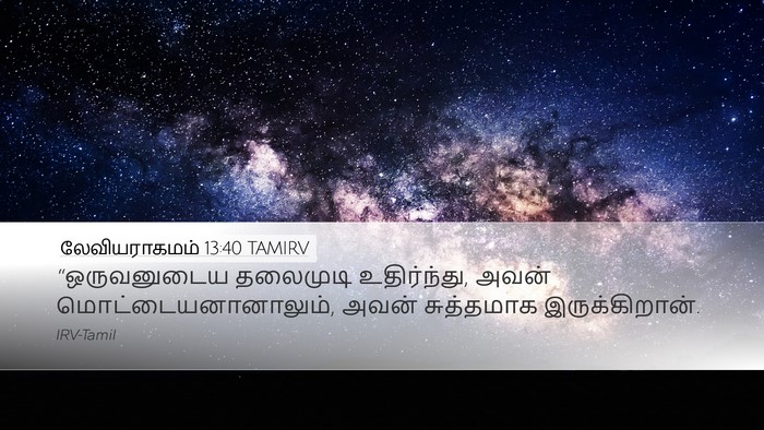லேவியராகமம் 13:40 TAMIRV Desktop Wallpaper - “ஒருவனுடைய - Desktop Bible Verse Wallpaper