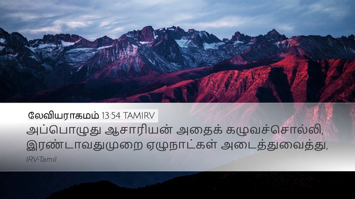 லேவியராகமம் 13:54 TAMIRV Desktop Wallpaper - அப்பொழுது - Desktop Bible Verse Wallpaper