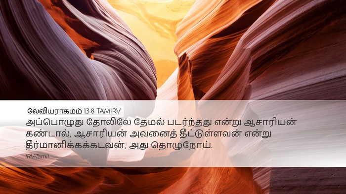 லேவியராகமம் 13:8 TAMIRV Desktop Wallpaper - அப்பொழுது தோலிலே - Desktop Bible Verse Wallpaper