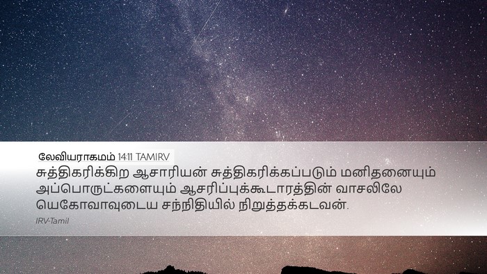 லேவியராகமம் 14:11 TAMIRV Desktop Wallpaper - சுத்திகரிக்கிற - Desktop Bible Verse Wallpaper