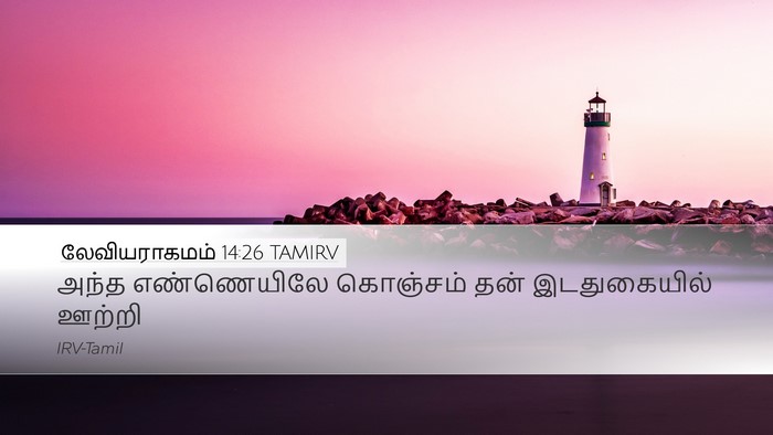 லேவியராகமம் 14:26 TAMIRV Desktop Wallpaper - அந்த எண்ணெயிலே - Desktop Bible Verse Wallpaper