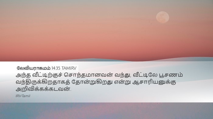 லேவியராகமம் 14:35 TAMIRV Desktop Wallpaper - அந்த வீட்டிற்குச் - Desktop Bible Verse Wallpaper