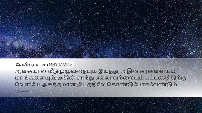 லேவியராகமம் 14:45 TAMIRV Bible Verse Image