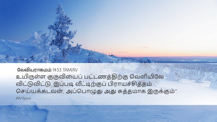 லேவியராகமம் 14:53 TAMIRV Desktop Wallpaper - உயிருள்ள - Desktop Bible Verse Wallpaper