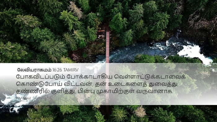 லேவியராகமம் 16:26 TAMIRV Desktop Wallpaper - போகவிடப்படும் - Desktop Bible Verse Wallpaper