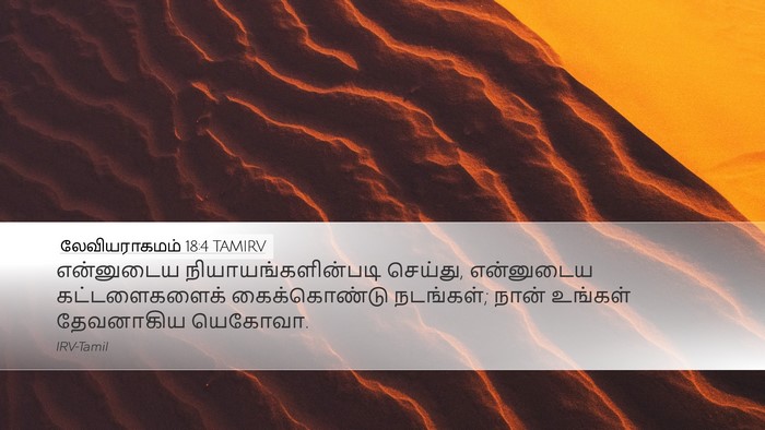 லேவியராகமம் 18:4 TAMIRV Bible Verse Image