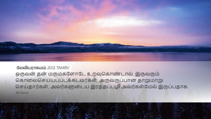 லேவியராகமம் 20:12 TAMIRV Bible Verse Image