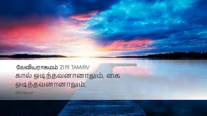 லேவியராகமம் 21:19 TAMIRV Desktop Wallpaper - கால் - Desktop Bible Verse Wallpaper