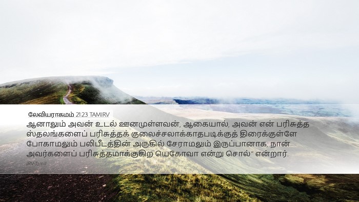 லேவியராகமம் 21:23 TAMIRV Desktop Wallpaper - ஆனாலும் அவன் உடல் - Desktop Bible Verse Wallpaper