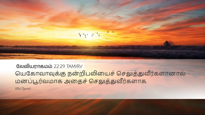 லேவியராகமம் 22:29 TAMIRV Bible Verse Image