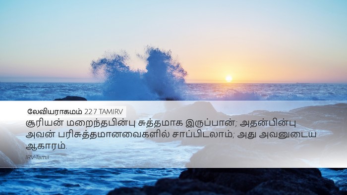 லேவியராகமம் 22:7 TAMIRV Desktop Wallpaper - சூரியன் - Desktop Bible Verse Wallpaper