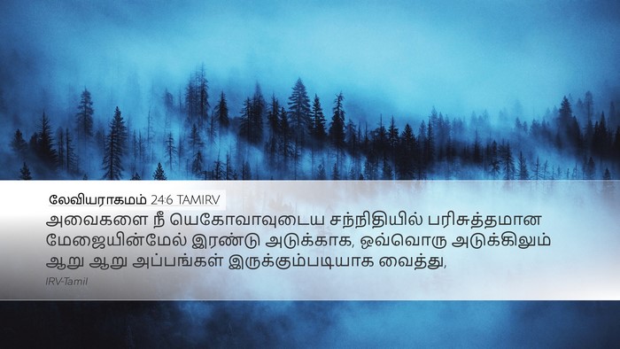 லேவியராகமம் 24:6 TAMIRV Desktop Wallpaper - அவைகளை நீ - Desktop Bible Verse Wallpaper