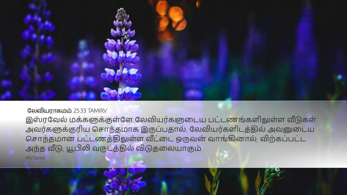 லேவியராகமம் 25:33 TAMIRV Desktop Wallpaper - இஸ்ரவேல் - Desktop Bible Verse Wallpaper