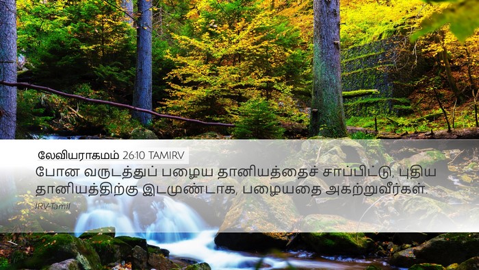 லேவியராகமம் 26:10 TAMIRV Desktop Wallpaper - போன வருடத்துப் - Desktop Bible Verse Wallpaper