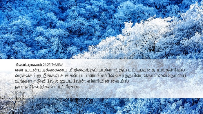 லேவியராகமம் 26:25 TAMIRV Bible Verse Image