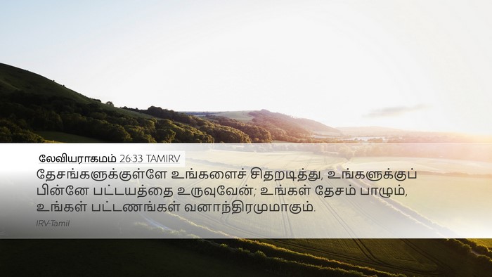 லேவியராகமம் 26:33 TAMIRV Bible Verse Image