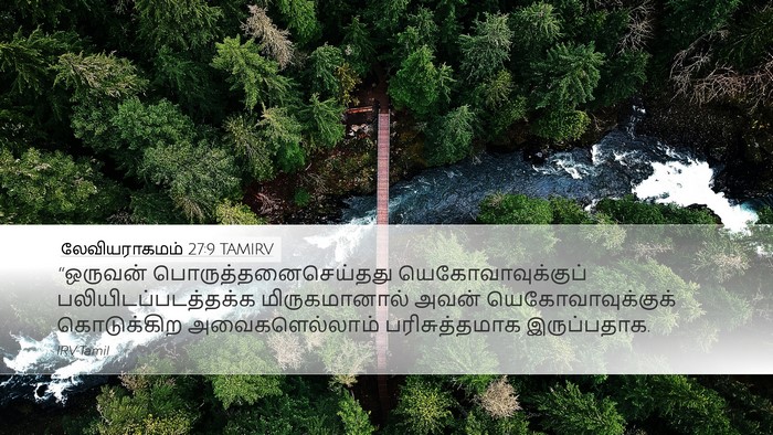 லேவியராகமம் 27:9 TAMIRV Desktop Wallpaper - “ஒருவன் - Desktop Bible Verse Wallpaper