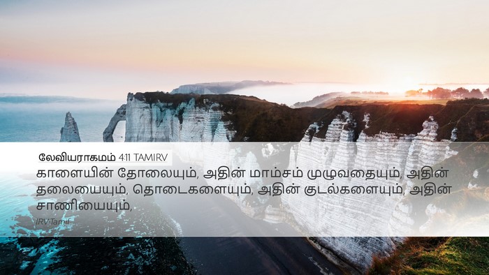 லேவியராகமம் 4:11 TAMIRV Bible Verse Image