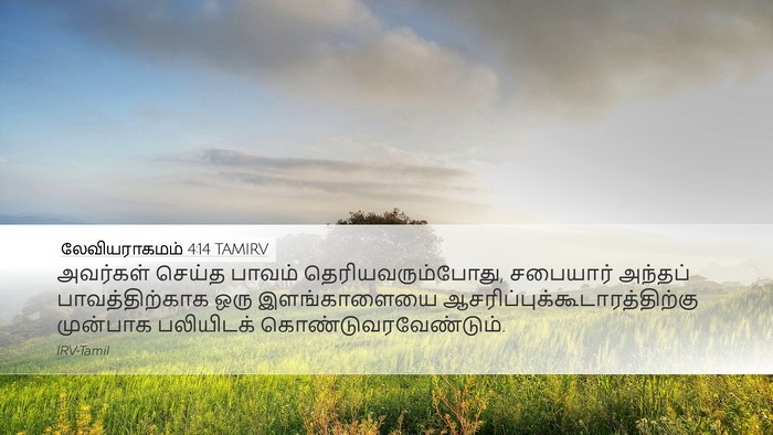 லேவியராகமம் 4:14 TAMIRV Bible Verse Image