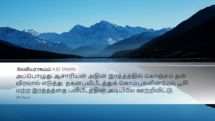 லேவியராகமம் 4:30 TAMIRV Bible Verse Image