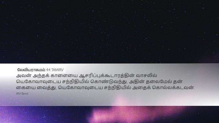 லேவியராகமம் 4:4 TAMIRV Desktop Wallpaper - அவன் அந்தக் - Desktop Bible Verse Wallpaper