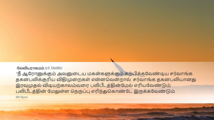 லேவியராகமம் 6:9 TAMIRV Bible Verse Image