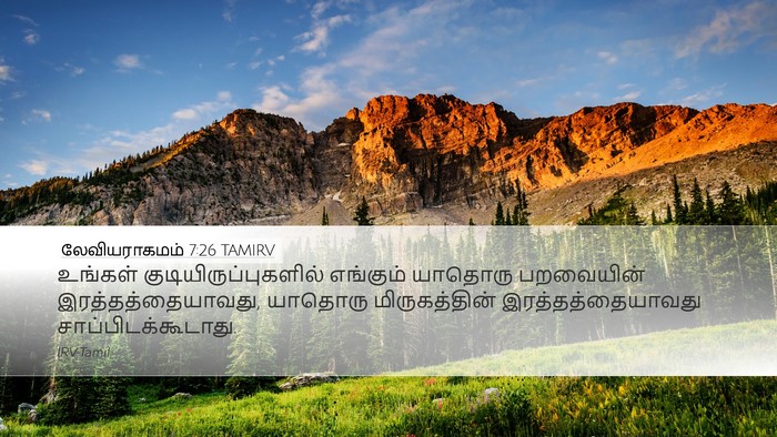 லேவியராகமம் 7:26 TAMIRV Bible Verse Image